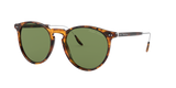 Shiny Antique Havana - Green