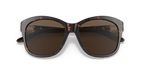 Shiny Dark Havana