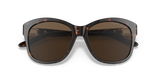 Shiny Dark Havana