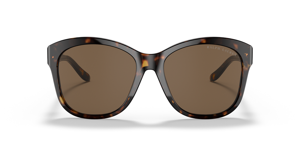 Shiny Dark Havana