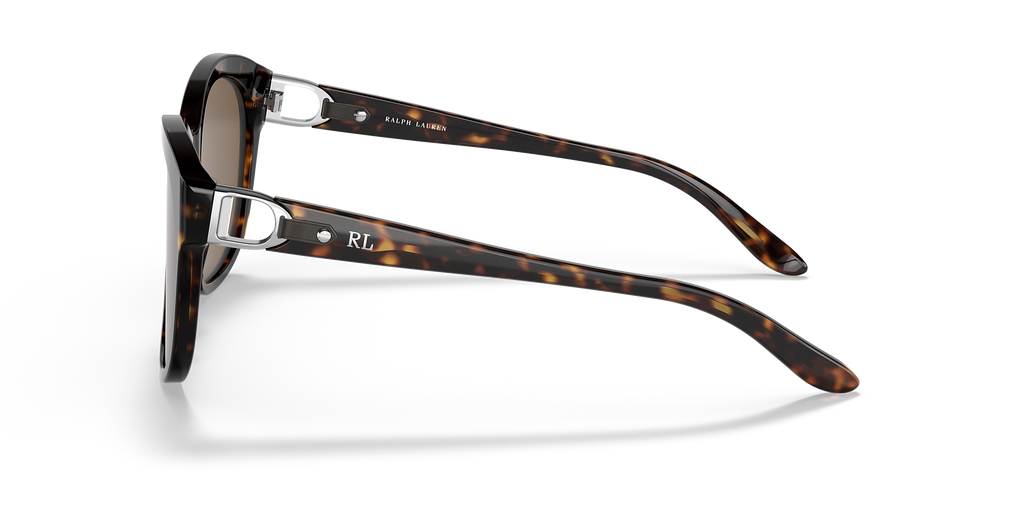 Shiny Dark Havana