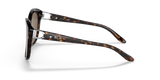 Shiny Dark Havana