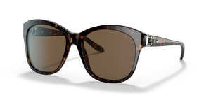 Shiny Dark Havana - Brown