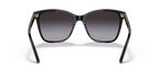 Shiny Black