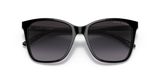 Shiny Black