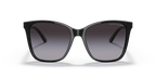Shiny Black