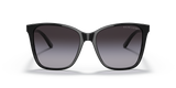 Shiny Black