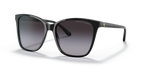 Shiny Black