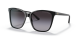 Shiny Black