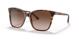 Shiny Striped Havana - Gradient Brown