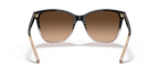 Shiny Gradient Black/Transparent Beige