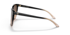 Shiny Gradient Black/Transparent Beige