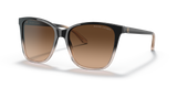 Shiny Gradient Black/Transparent Beige - Light Gradient Brown