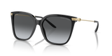 Shiny Black - Gradient Grey Polar