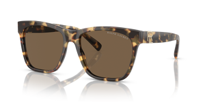 Havana - Brown