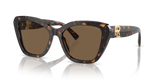 Havana - Brown