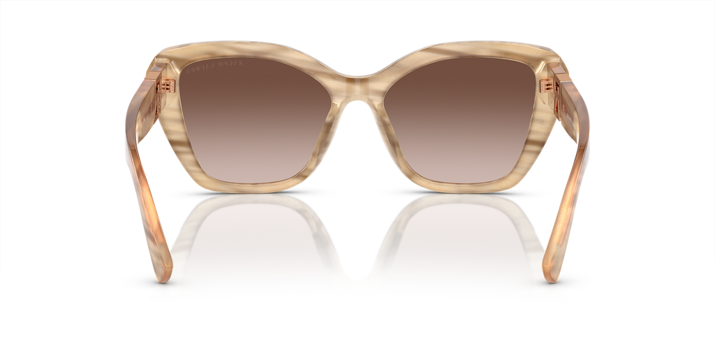 Brown Oyster