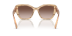 Brown Oyster