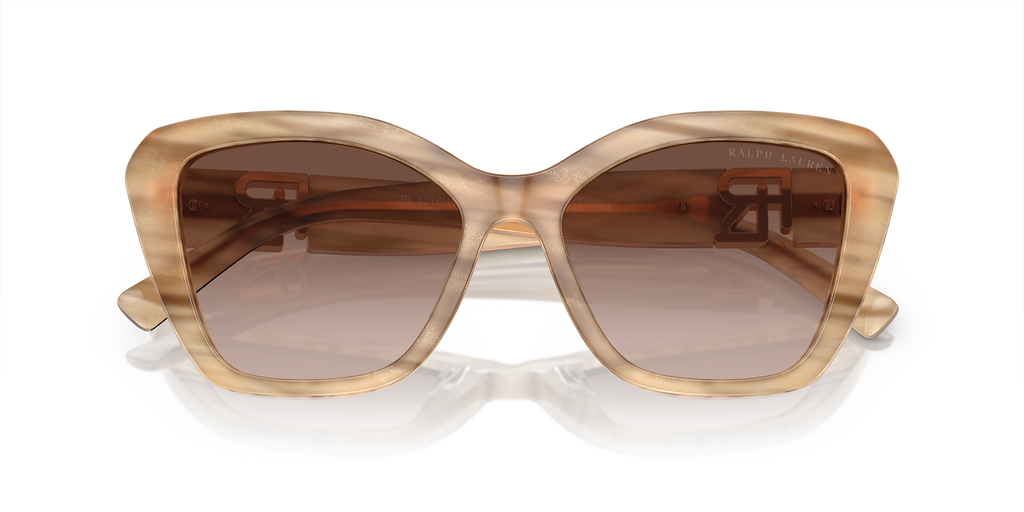 Brown Oyster