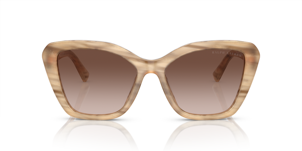 Brown Oyster
