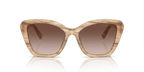 Brown Oyster