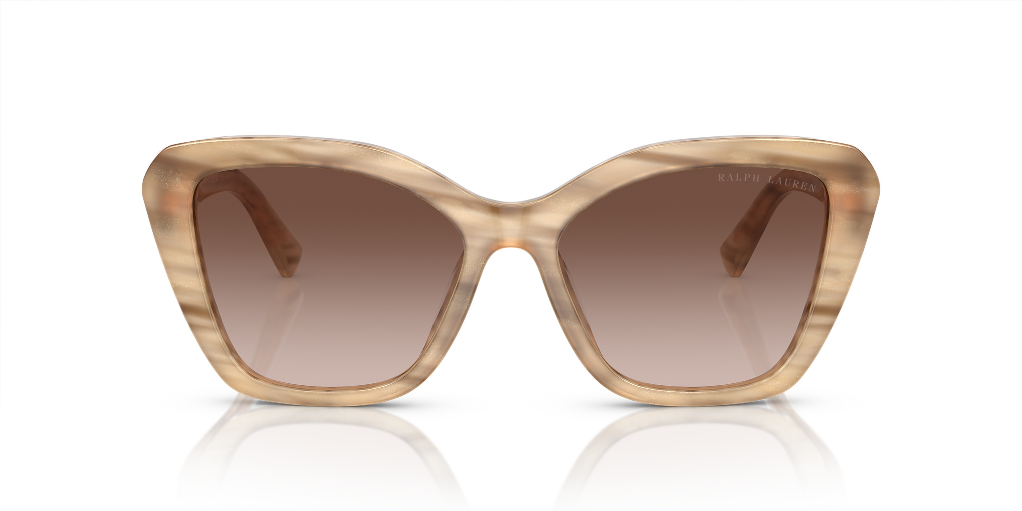 Brown Oyster