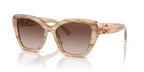 Brown Oyster