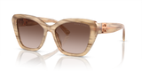 Brown Oyster - Gradient Brown