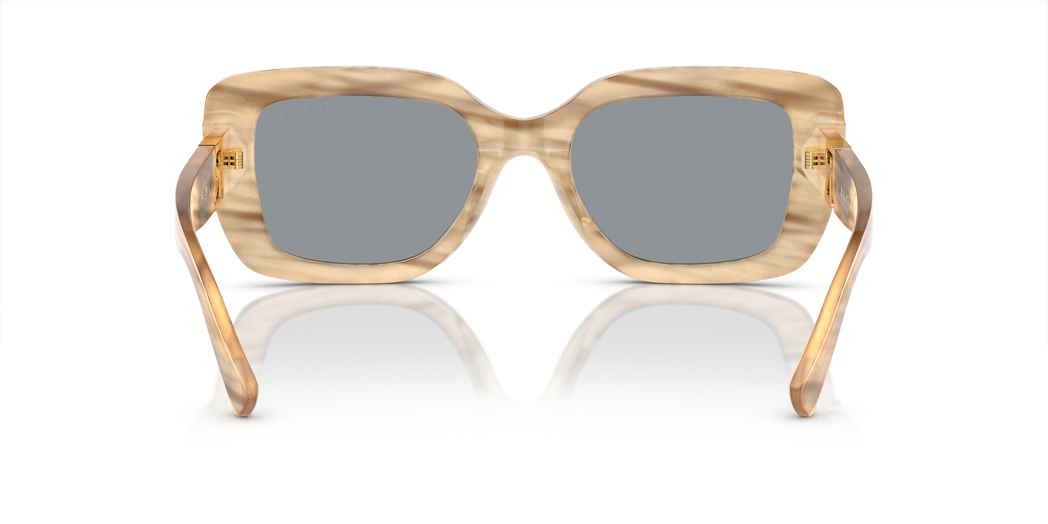 Brown Oyster