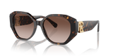 Dark Havana - Brown Gradient