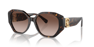 Dark Havana - Brown Gradient