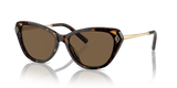 Dark Havana - Brown