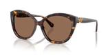 Dark Havana - Brown