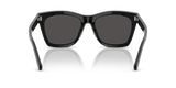 Shiny Black