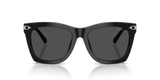Shiny Black