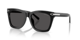 Shiny Black