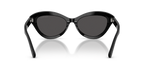 Shiny Black