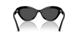 Shiny Black