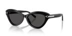 Shiny Black