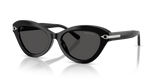 Shiny Black