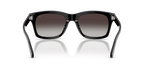 Shiny Black