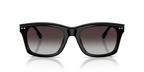 Shiny Black