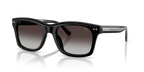 Shiny Black