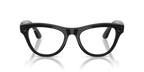 Ray-Ban RBR0102S Caravan Reverse