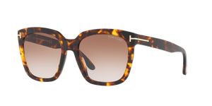 Brown - Brown Gradient