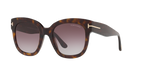 Tortoise
