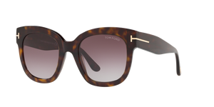 Tortoise - Burgundy Gradient