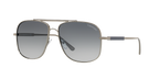 Gunmetal Shiny