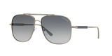 Gunmetal Shiny