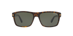 Tortoise Tan